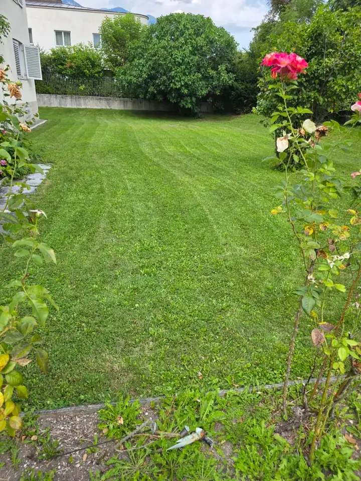 Rasen gemäht, mit sauberem Schnittbild
